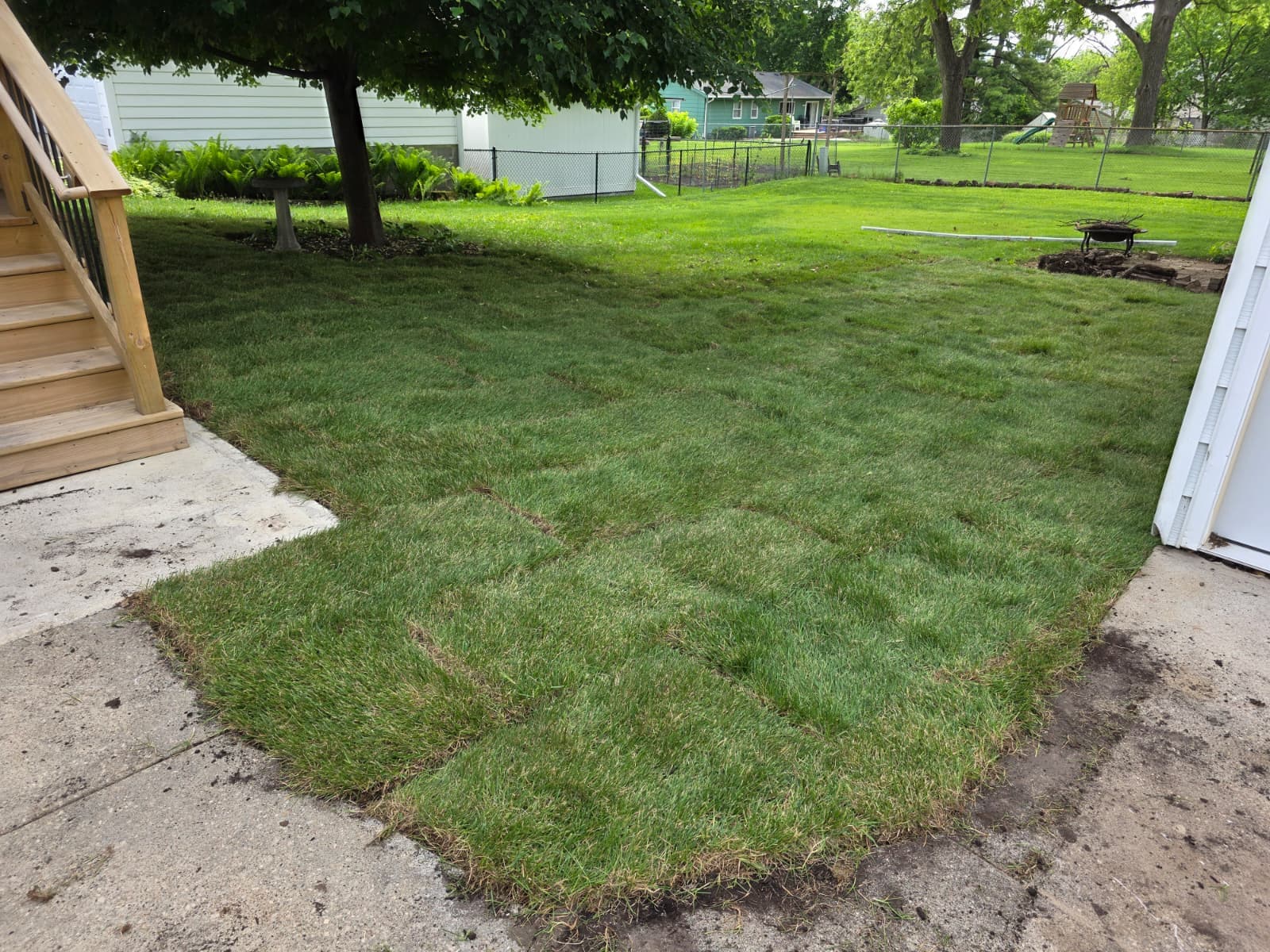 Green backyard lawn bordered by a fence and trees