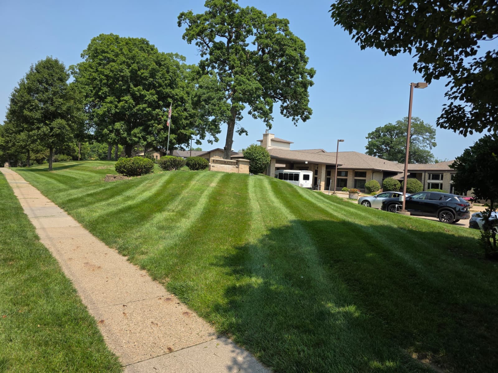 Landscaping project 6