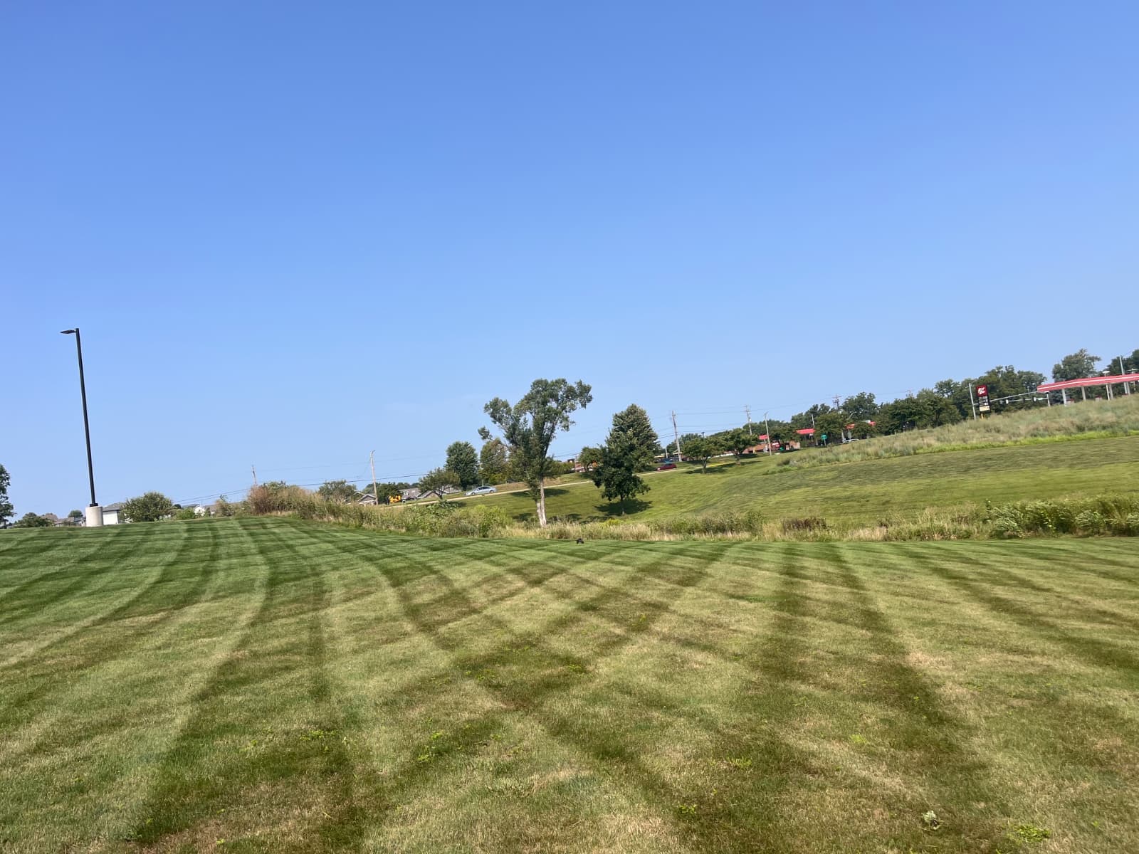 Landscaping project 9