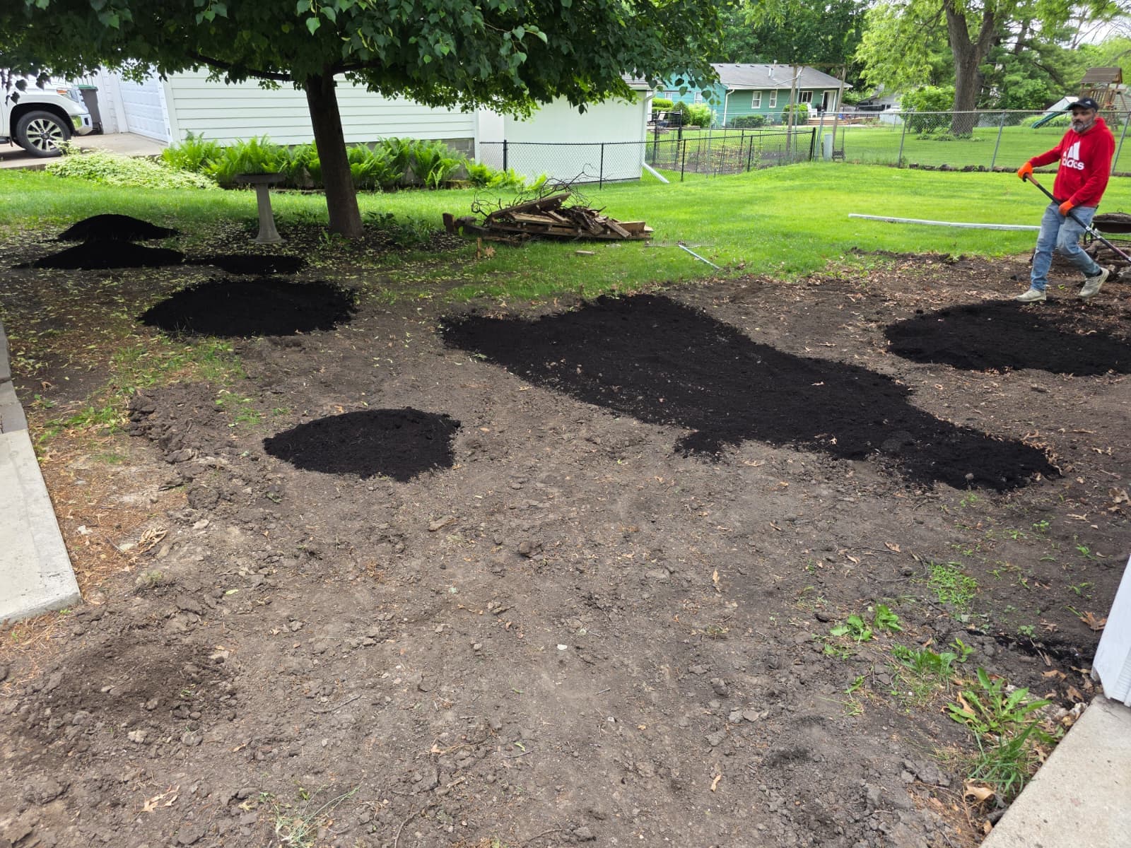 Outdoor area with exposed soil, trees, low plants and several piles of dark material